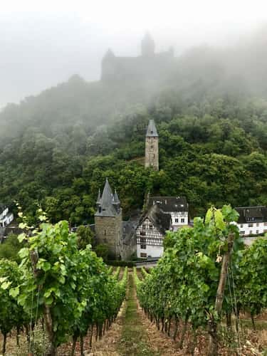 Bacharach