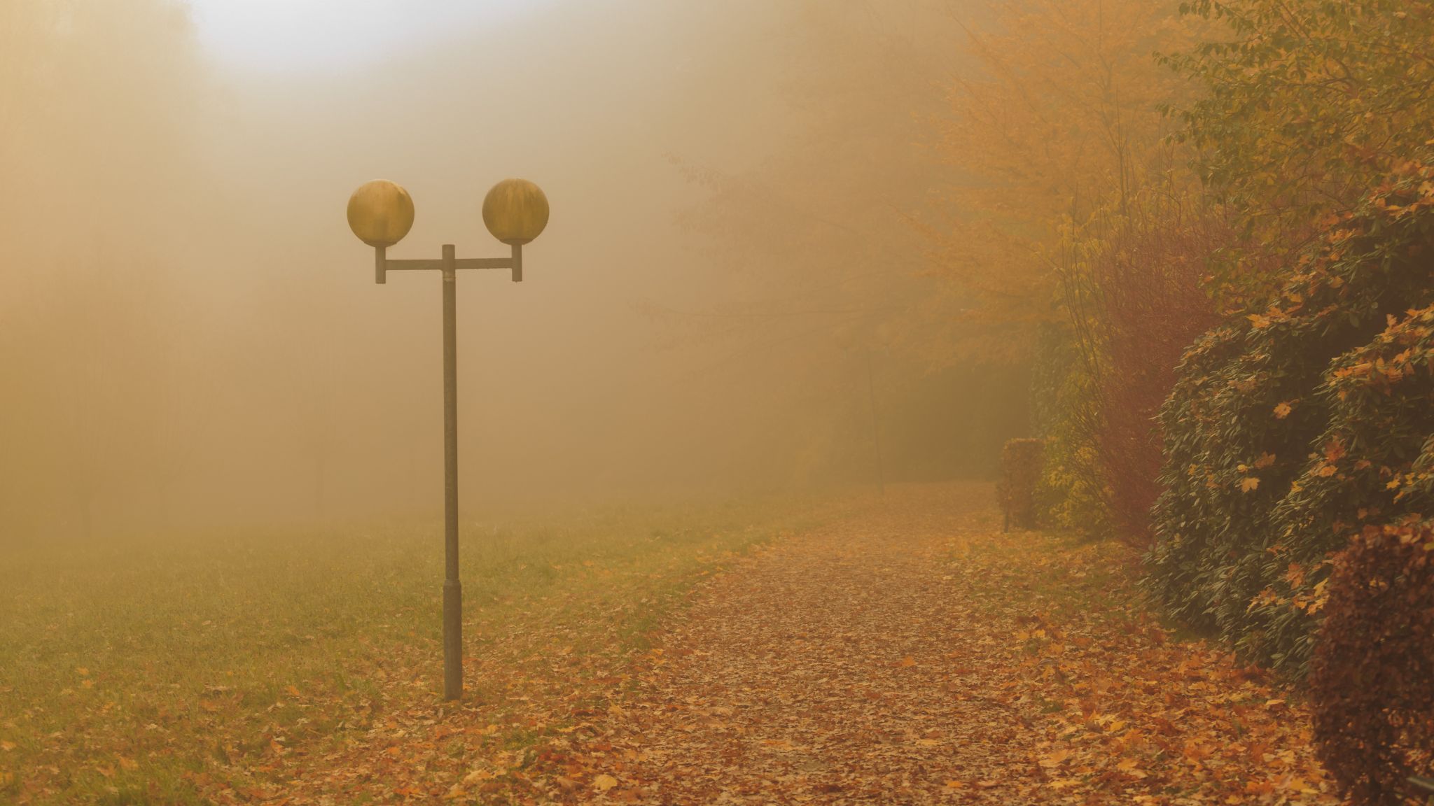 Bad Fallingbostel, Kur Park, Germany
