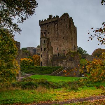 Blarney Castle autumn leaves, Ireland