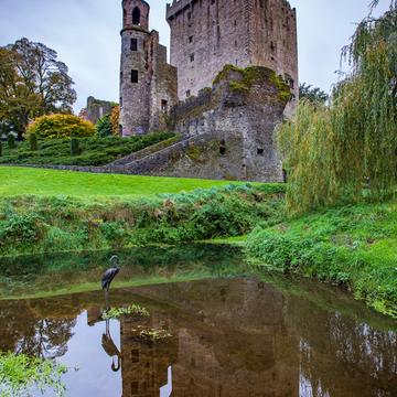 Blarney Castle reflection, Ireland