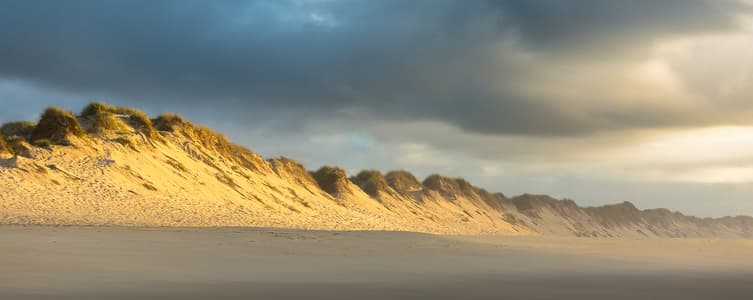 Bone of the Whale Beach
