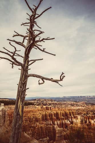 Bryce Point, Bryce Canyon National Park