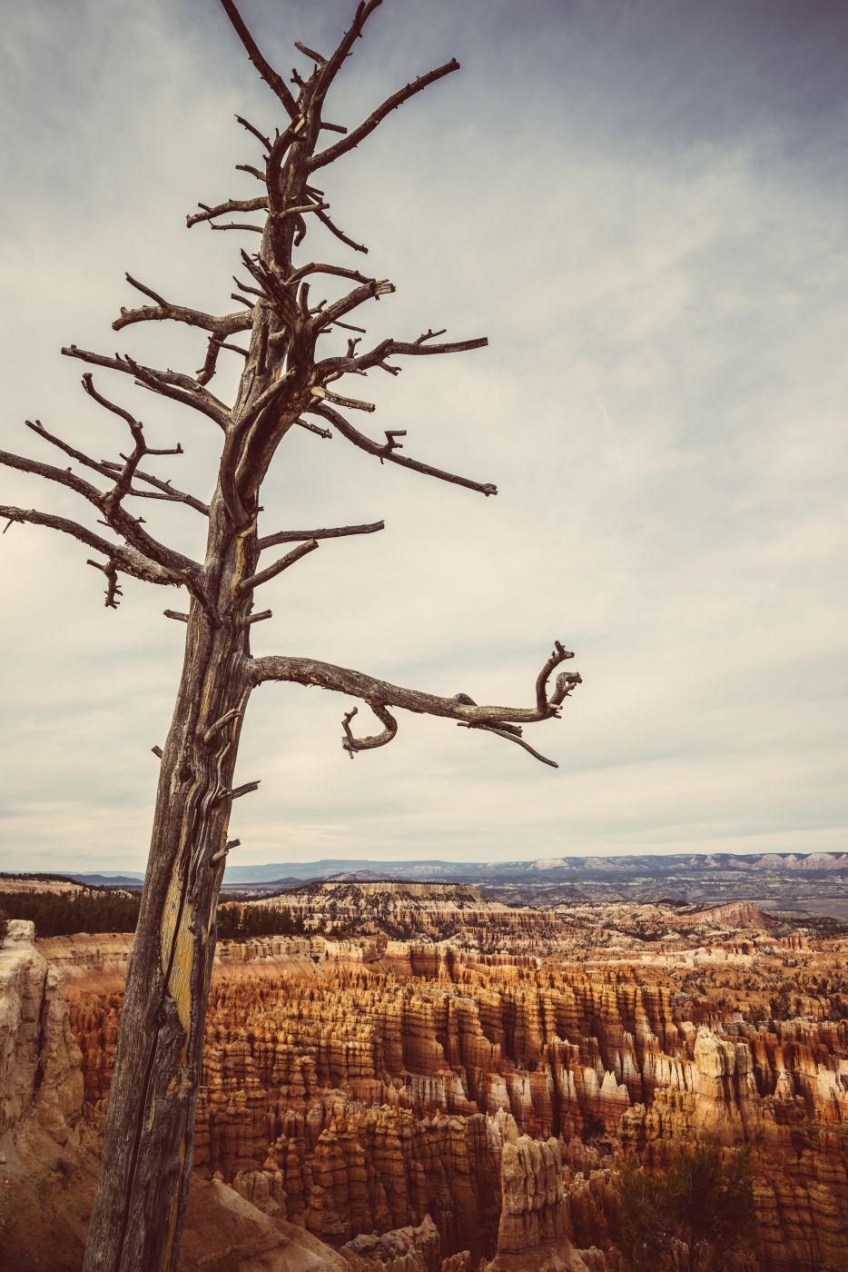 Bryce Point, Bryce Canyon National Park, USA