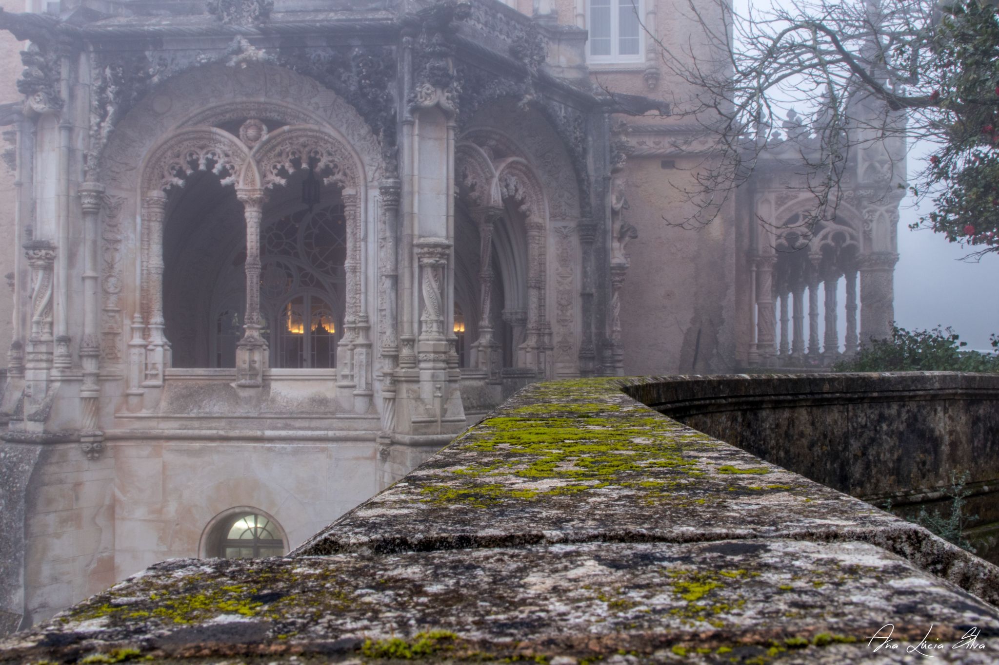 Buçaco Palace, Portugal