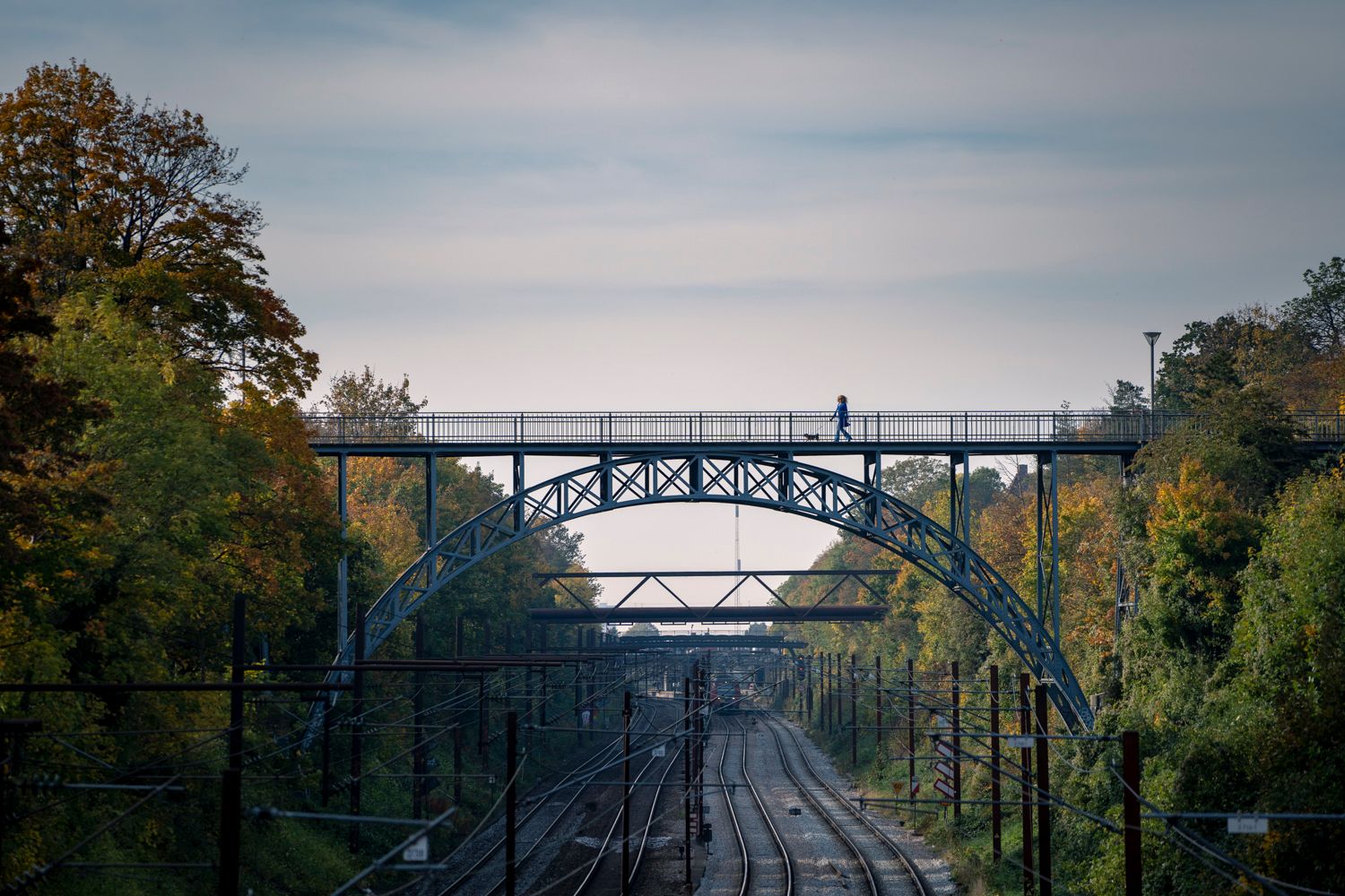 Carlsberg cycel bridge, Copenhagen, Denmark