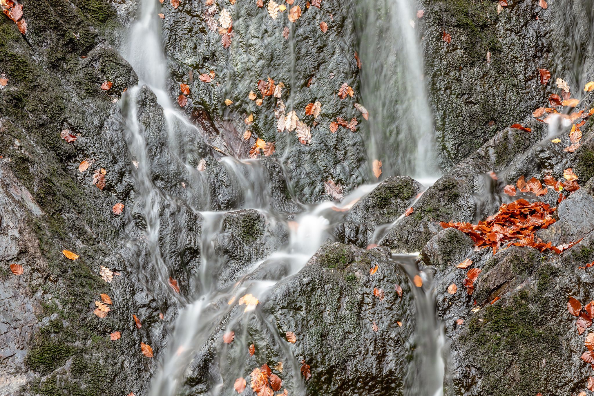 Cascade de Bayehon, Belgium