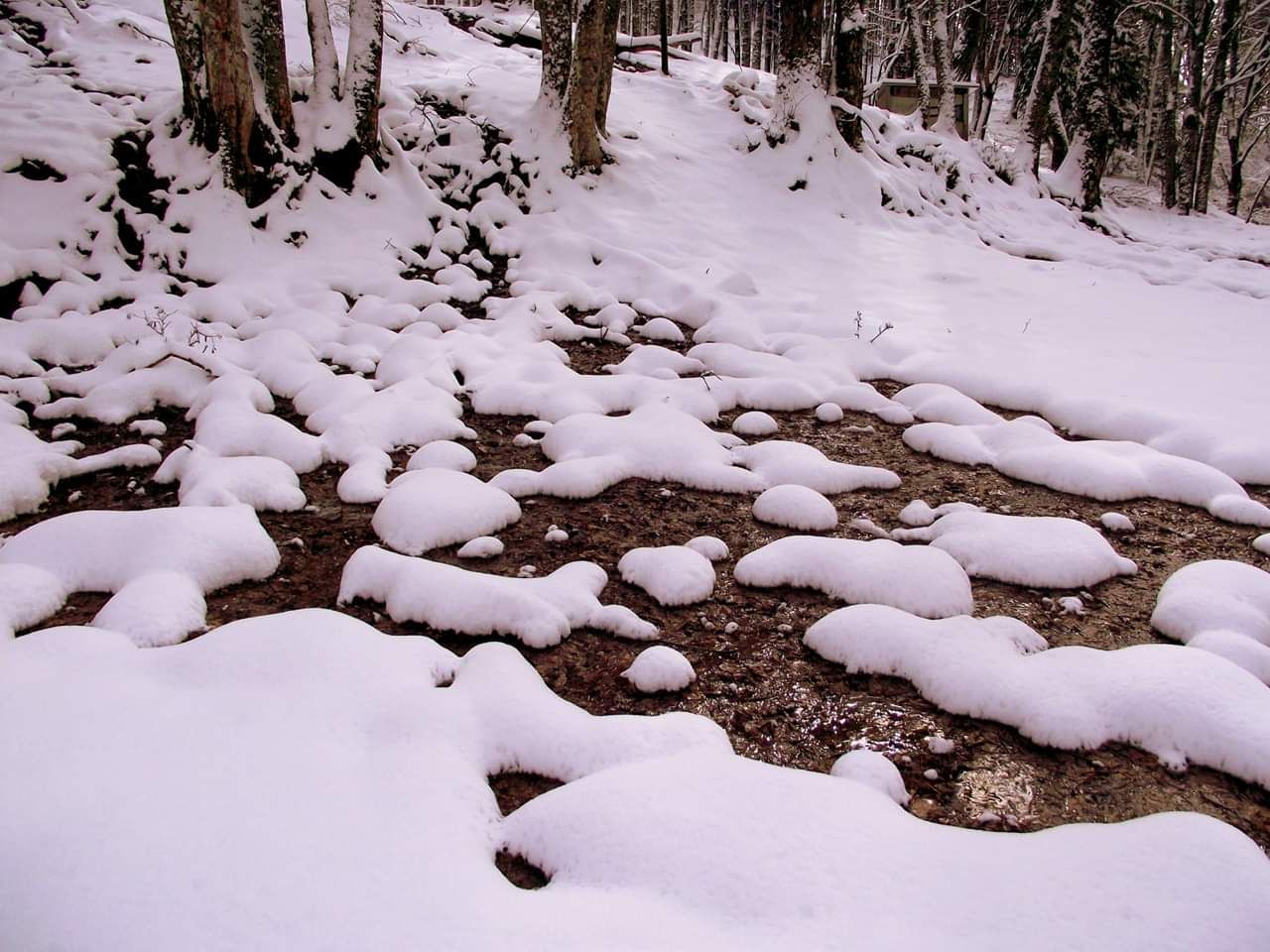 Casentino, Italy