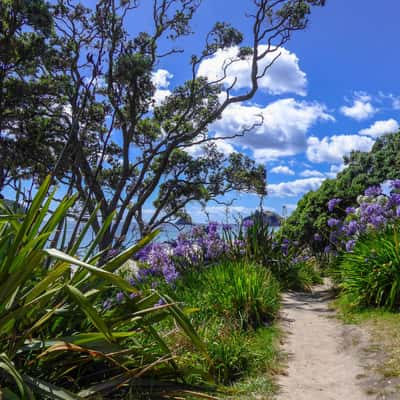 Cathedral Cove Walk, New Zealand