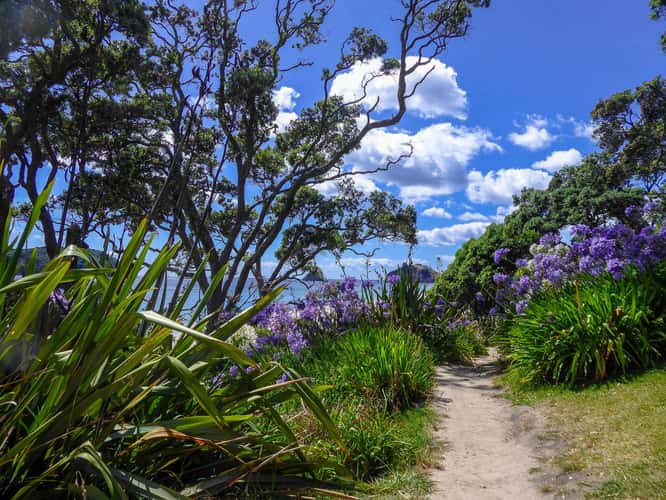 Cathedral Cove Walk