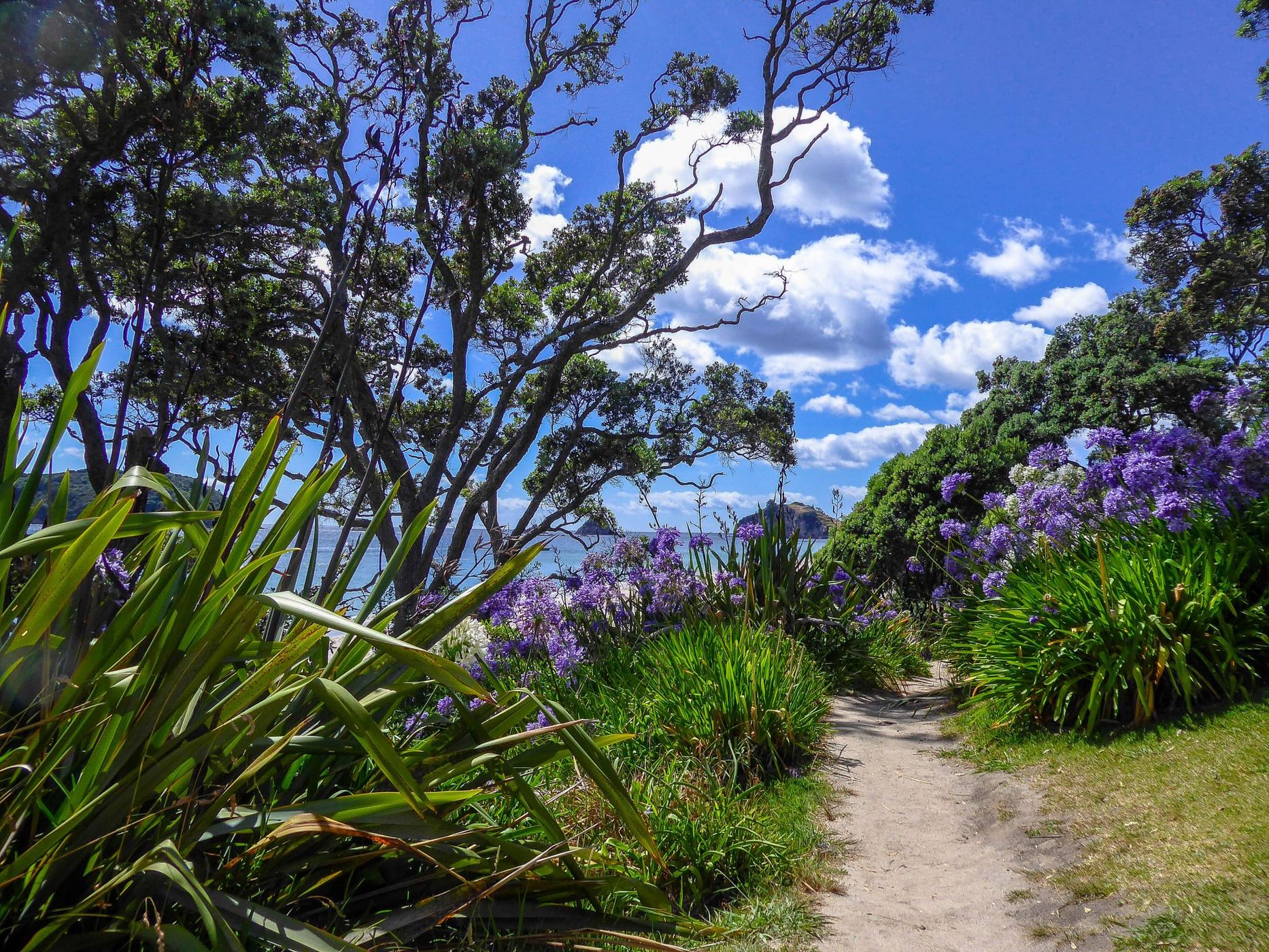 Cathedral Cove Walk, New Zealand
