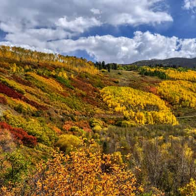 County Road #7, USA