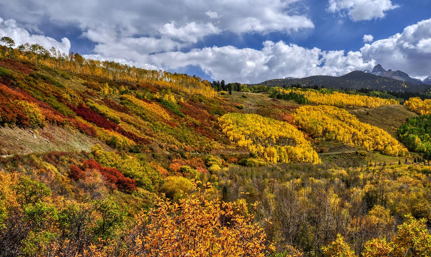 County Road #7, USA