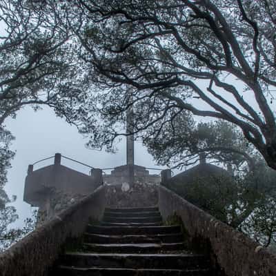 Cruz Alta, Buçaco Forest, Portugal