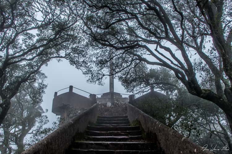Cruz Alta, Buçaco Forest