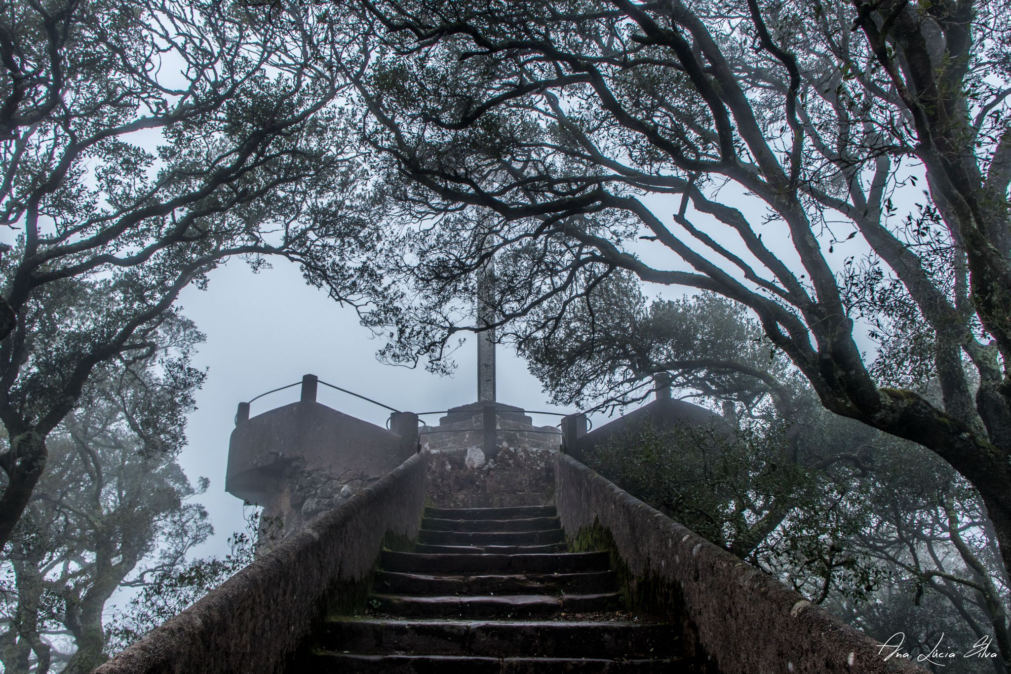 Cruz Alta, Buçaco Forest, Portugal