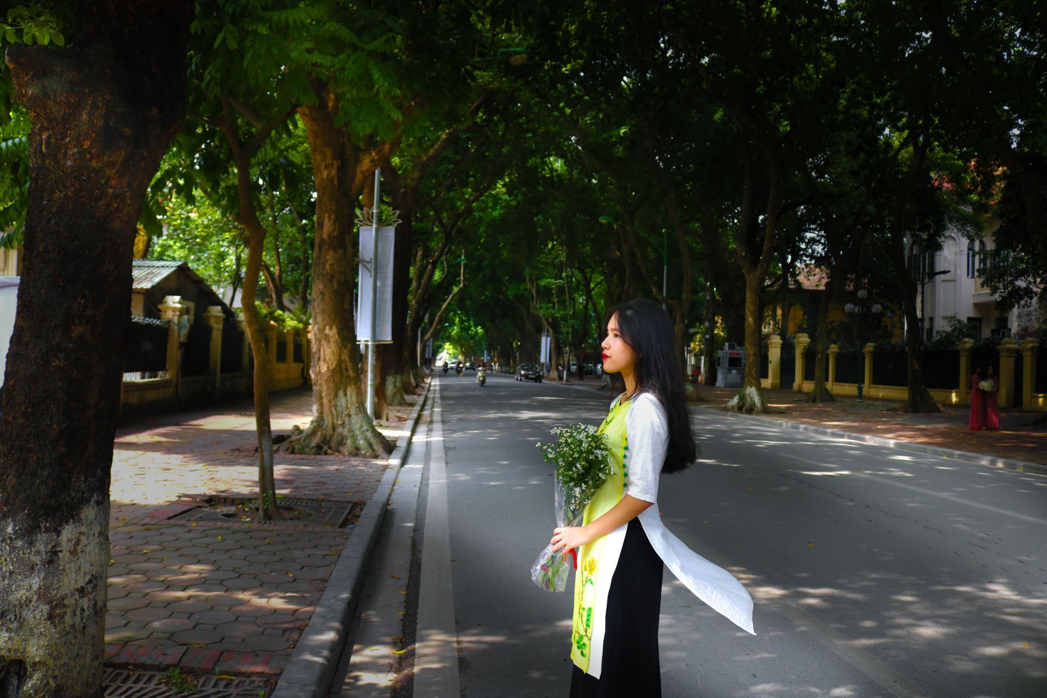 Phan Dinh Phung Street, Vietnam