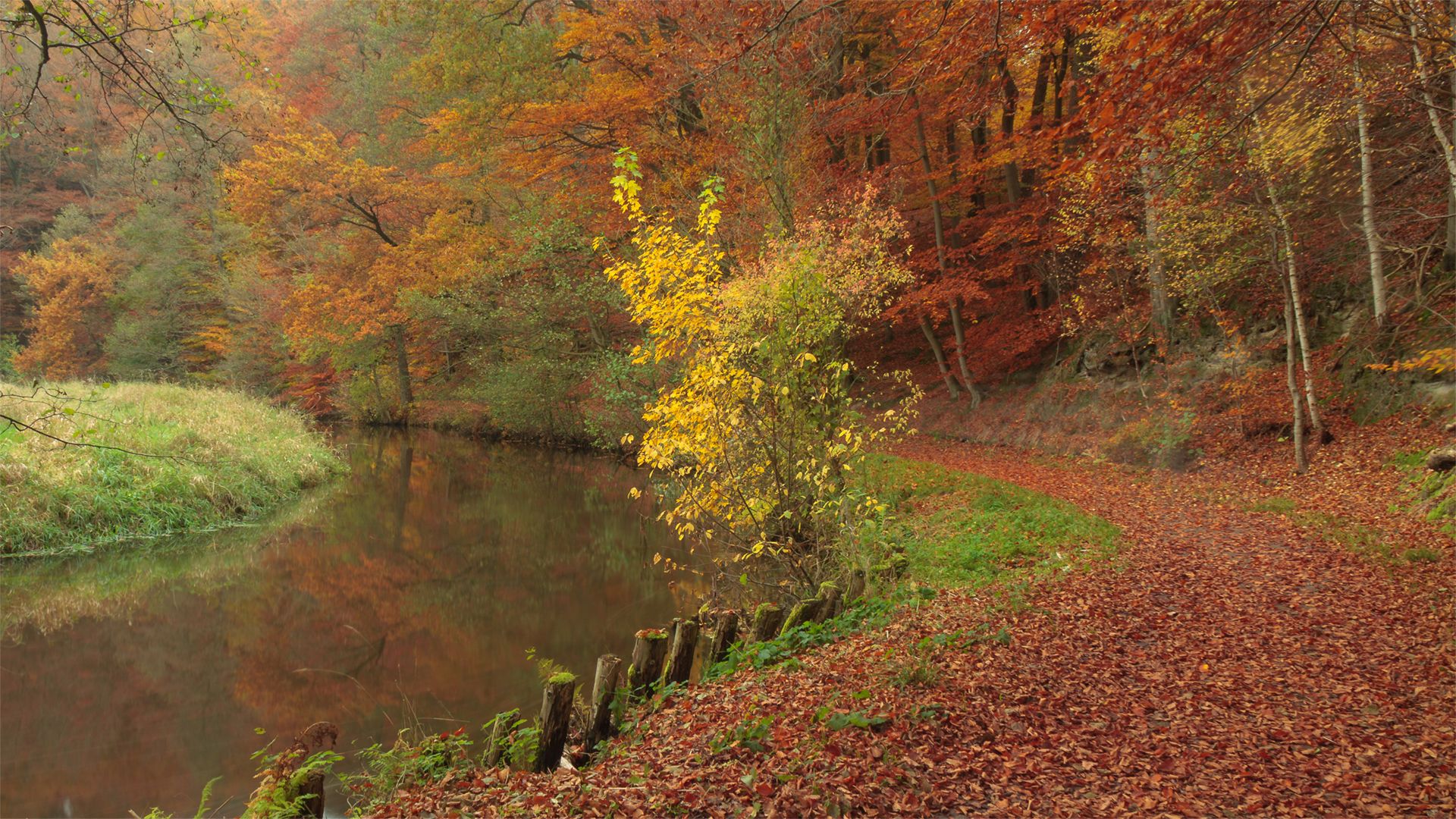 Die Böhme, Bad Fallingbostel, Germany