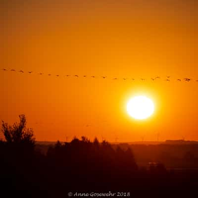 Diepholzer Moorniederung, Lower Saxony, Germany