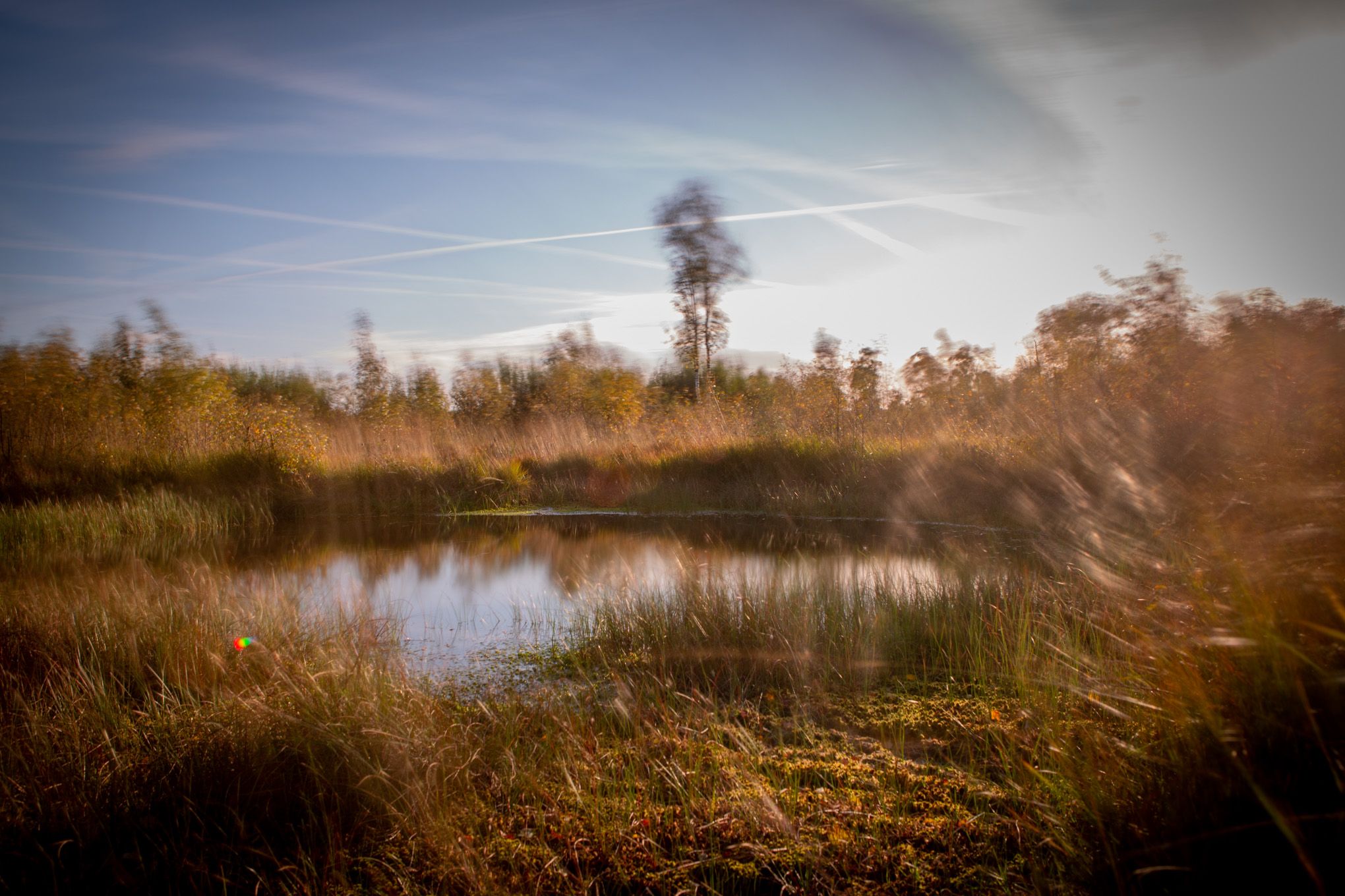 Dosenmoor, Germany