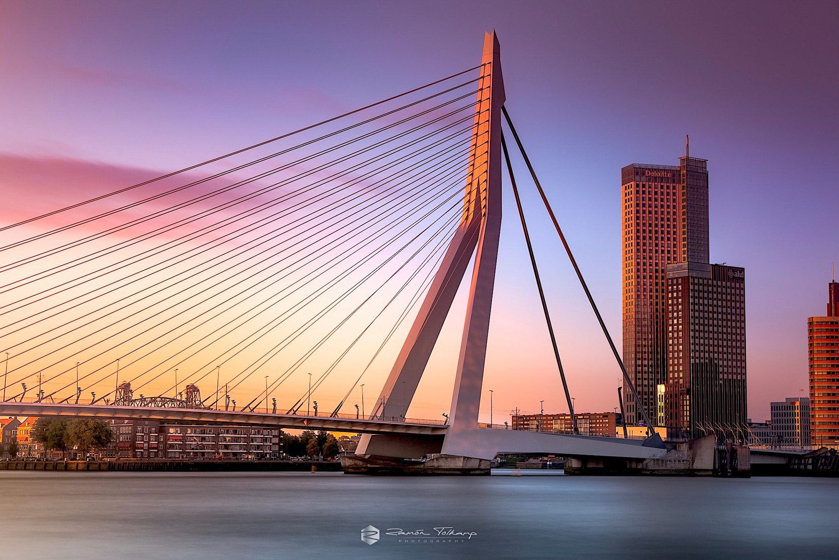 erasmus bridge