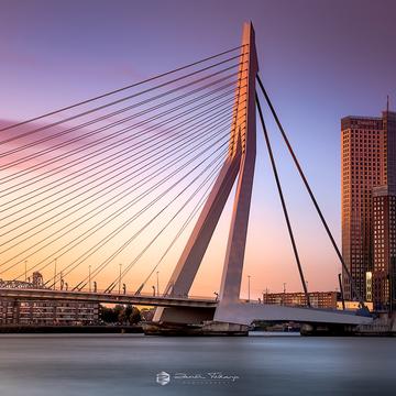 Erasmus Bridge (south view), Rotterdam, Netherlands