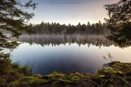 Etang de la Gruère