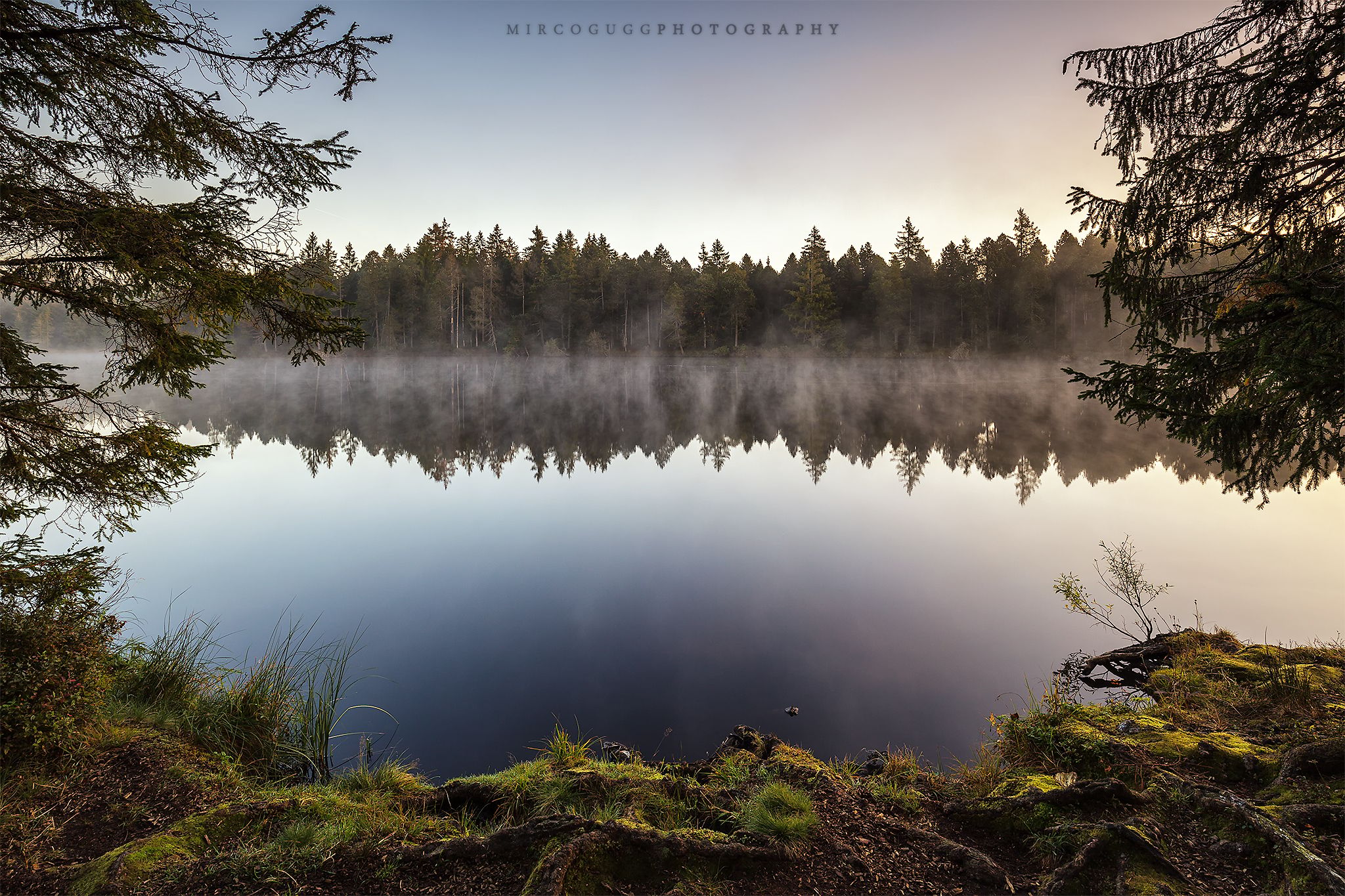 Etang de la Gruère, Switzerland