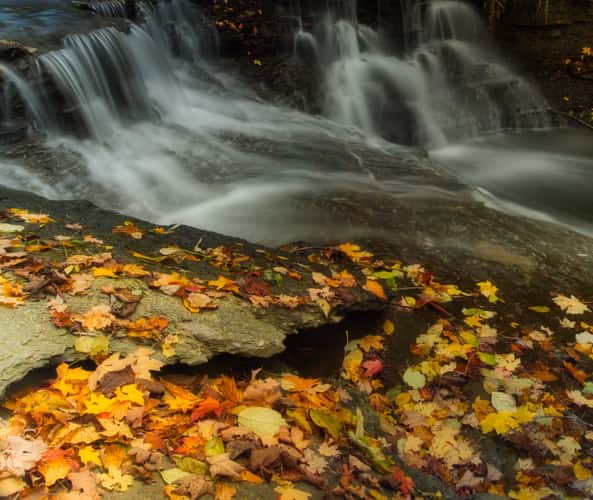 Fall Colors At Wahoosh Falls