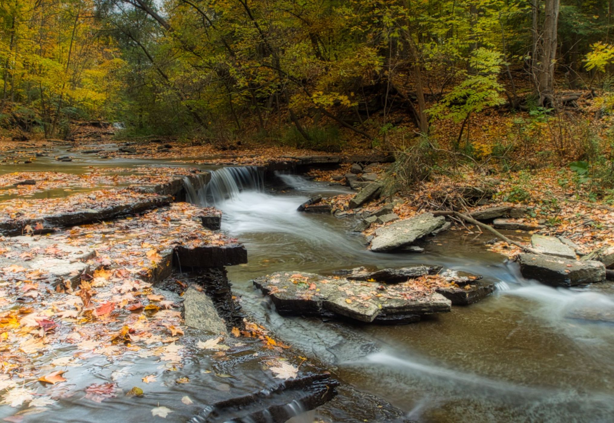 Fall Colors At Wahoosh Falls, Canada