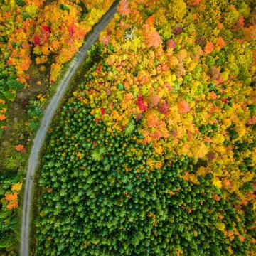Fall Foliage in Northern Maine, USA