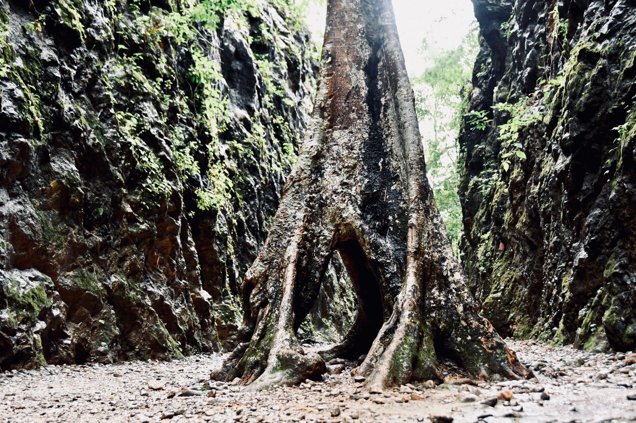 Hellfire Pass, Thailand
