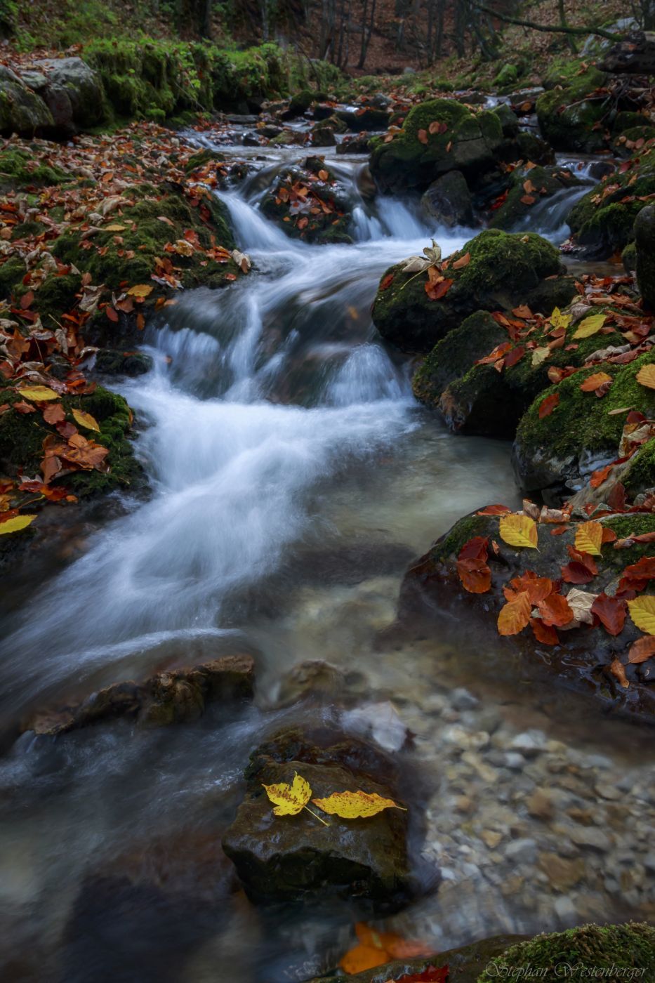 Josefsthaler Wasserfall, Germany
