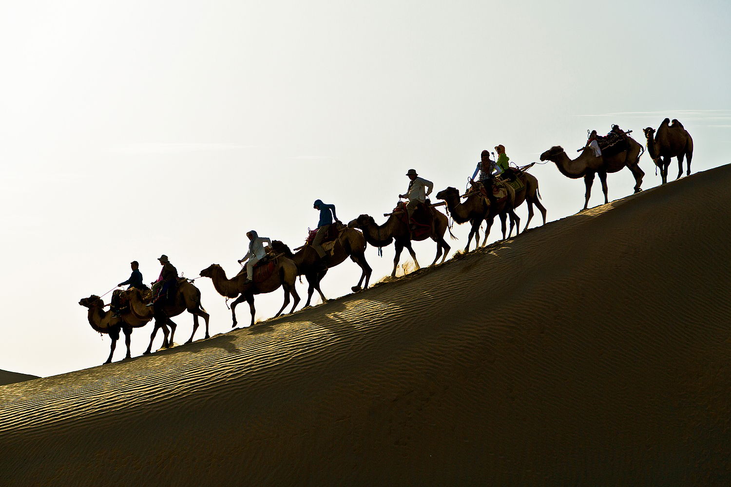Karawane in der Taklamakan, China