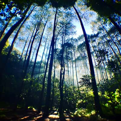 Kawasan Konservasi Kareumbi, Indonesia