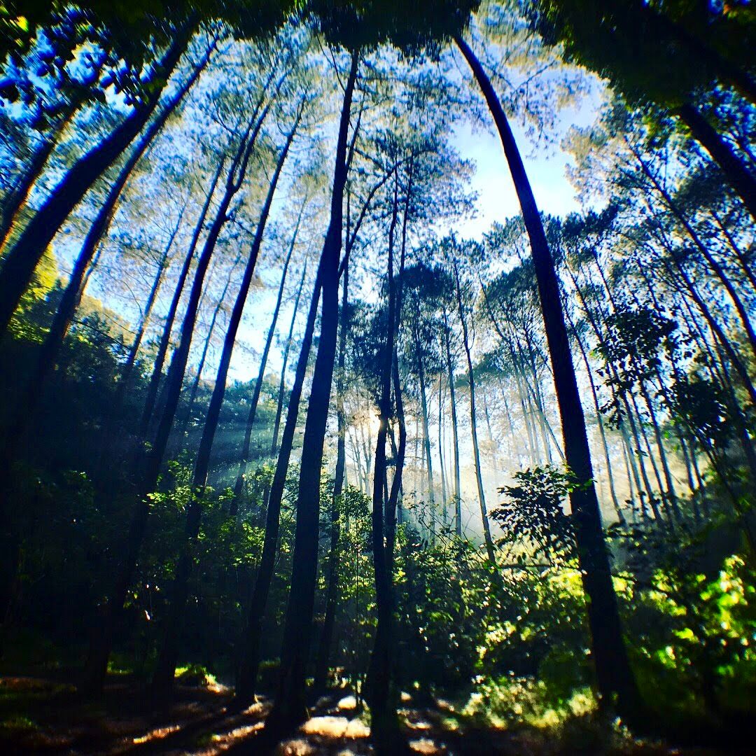 Kawasan Konservasi Kareumbi, Indonesia