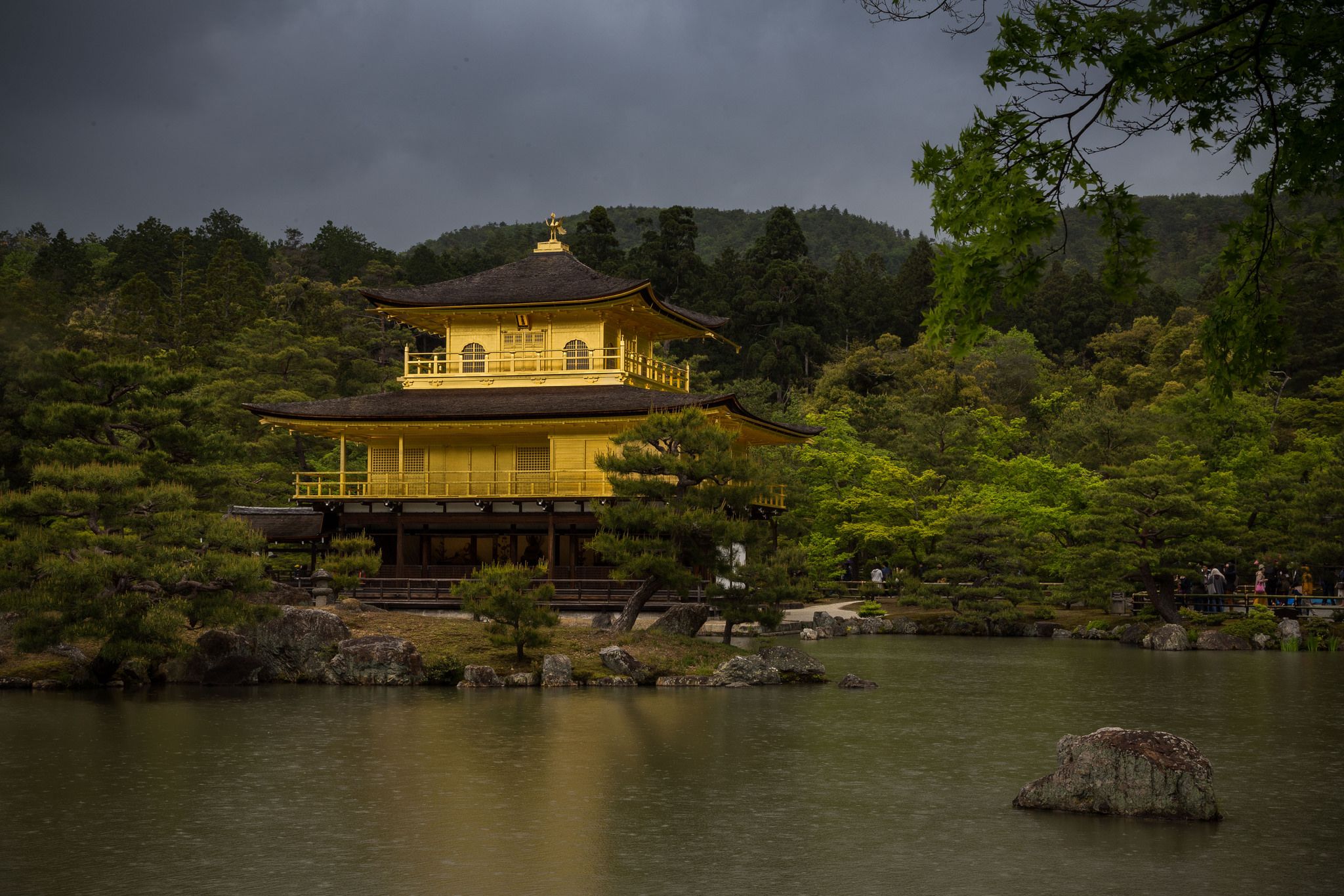 Kinkakuji (Gold Pavilion / 金閣寺), Kyoto, Japan