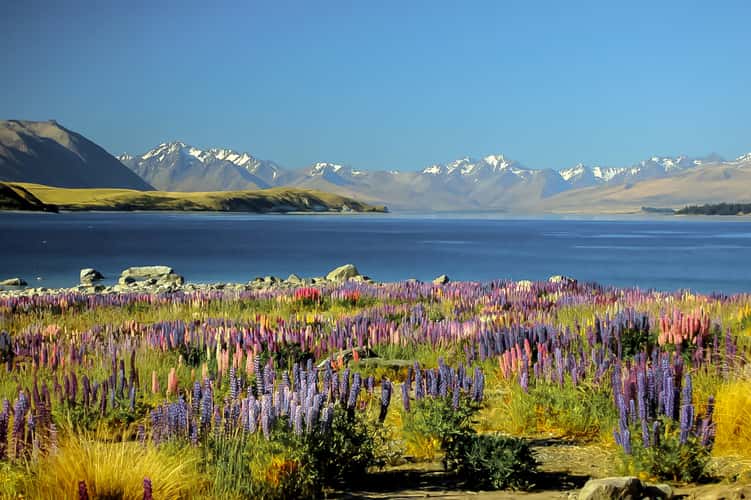 Lake Tekapo
