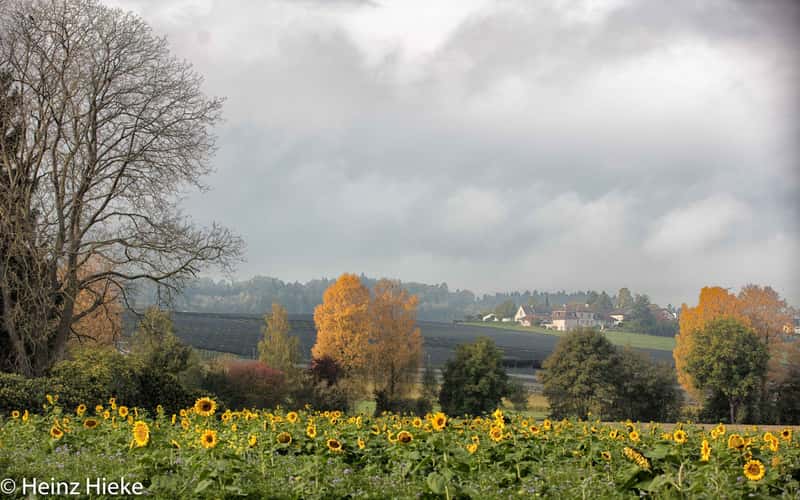 Landschlacht