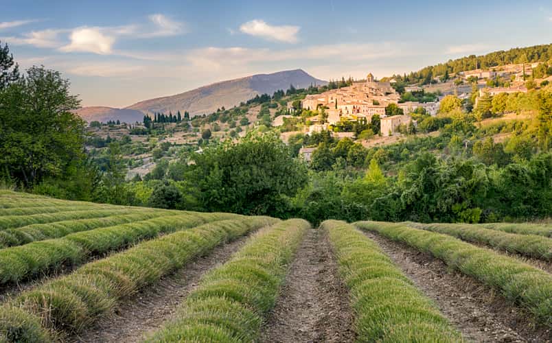 Lavender with the french village Aurel in the background