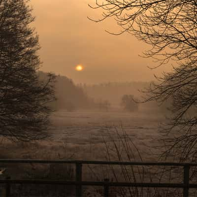 Lieth Wald, Bad Fallingbostel, Germany