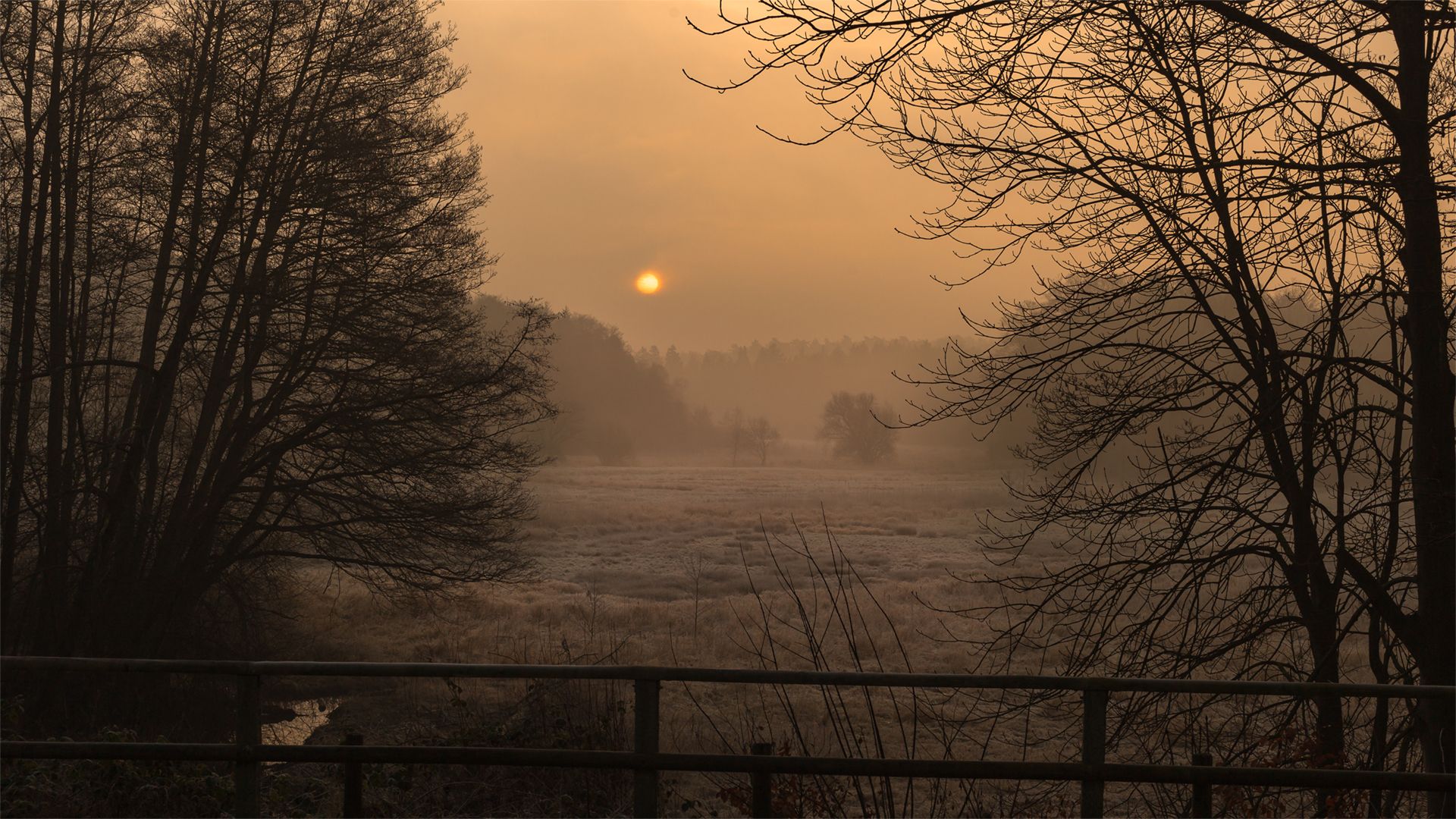 Lieth Wald, Bad Fallingbostel, Germany