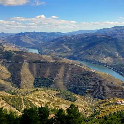 Miradouro São Leonardo da Galafura, Portugal