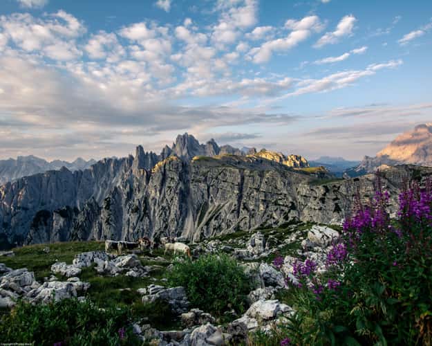 Morning near Tre Cime