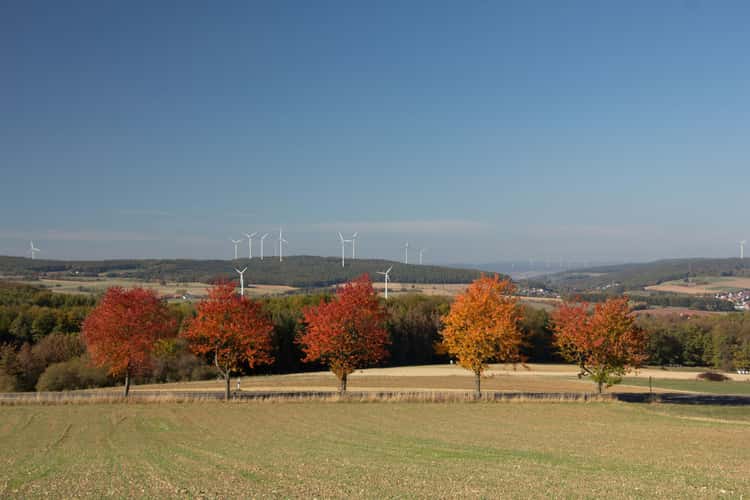 near Malges (Kuppenrhön)