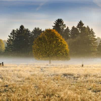 Oerbke, Germany