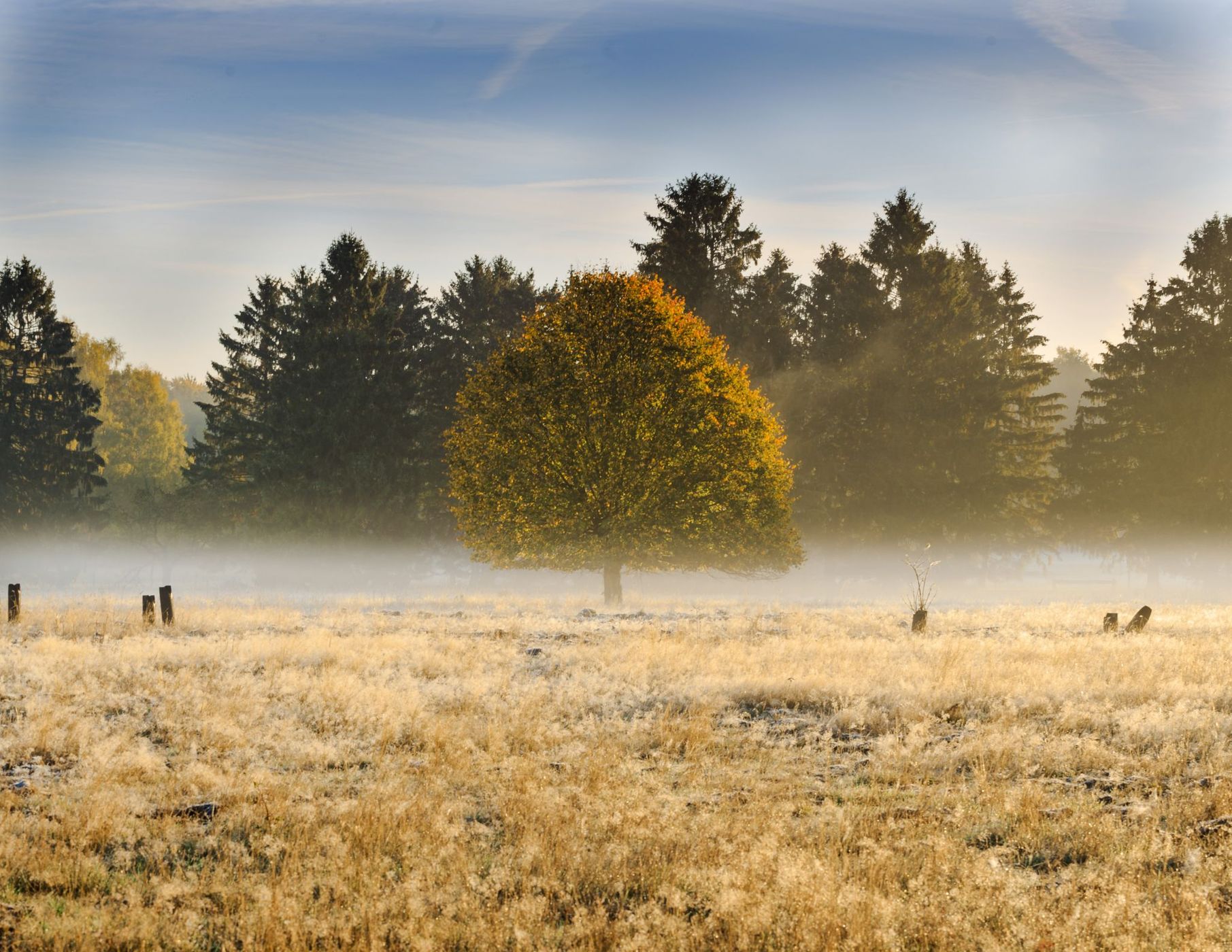 Oerbke, Germany
