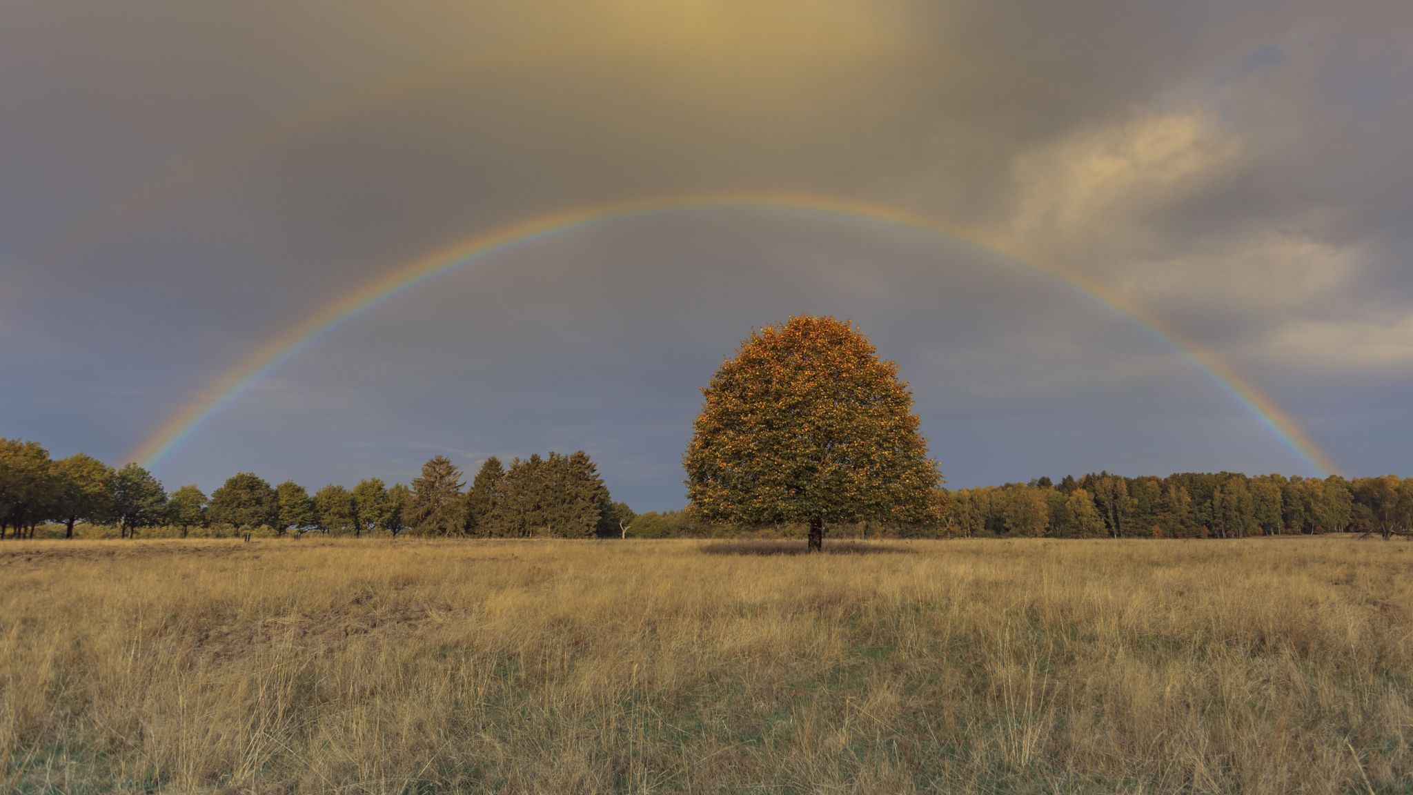 Oerbke, Germany