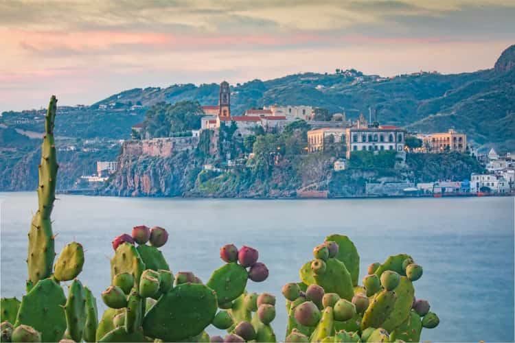 Opuntia [Prickly Pear] and Lipari castle sunrise