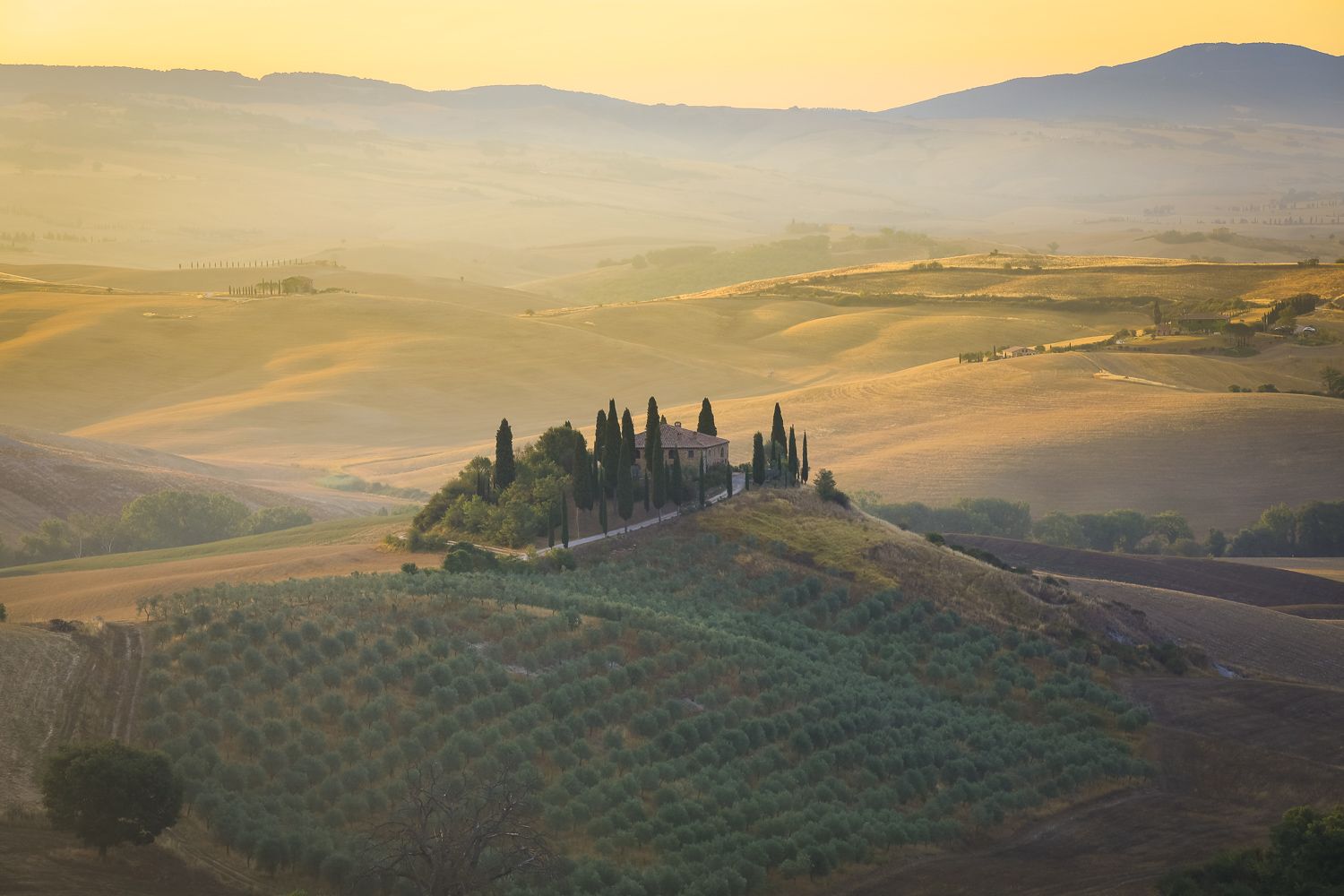 Podere Belvedere in the Val D'orcia Tuscany, Italy