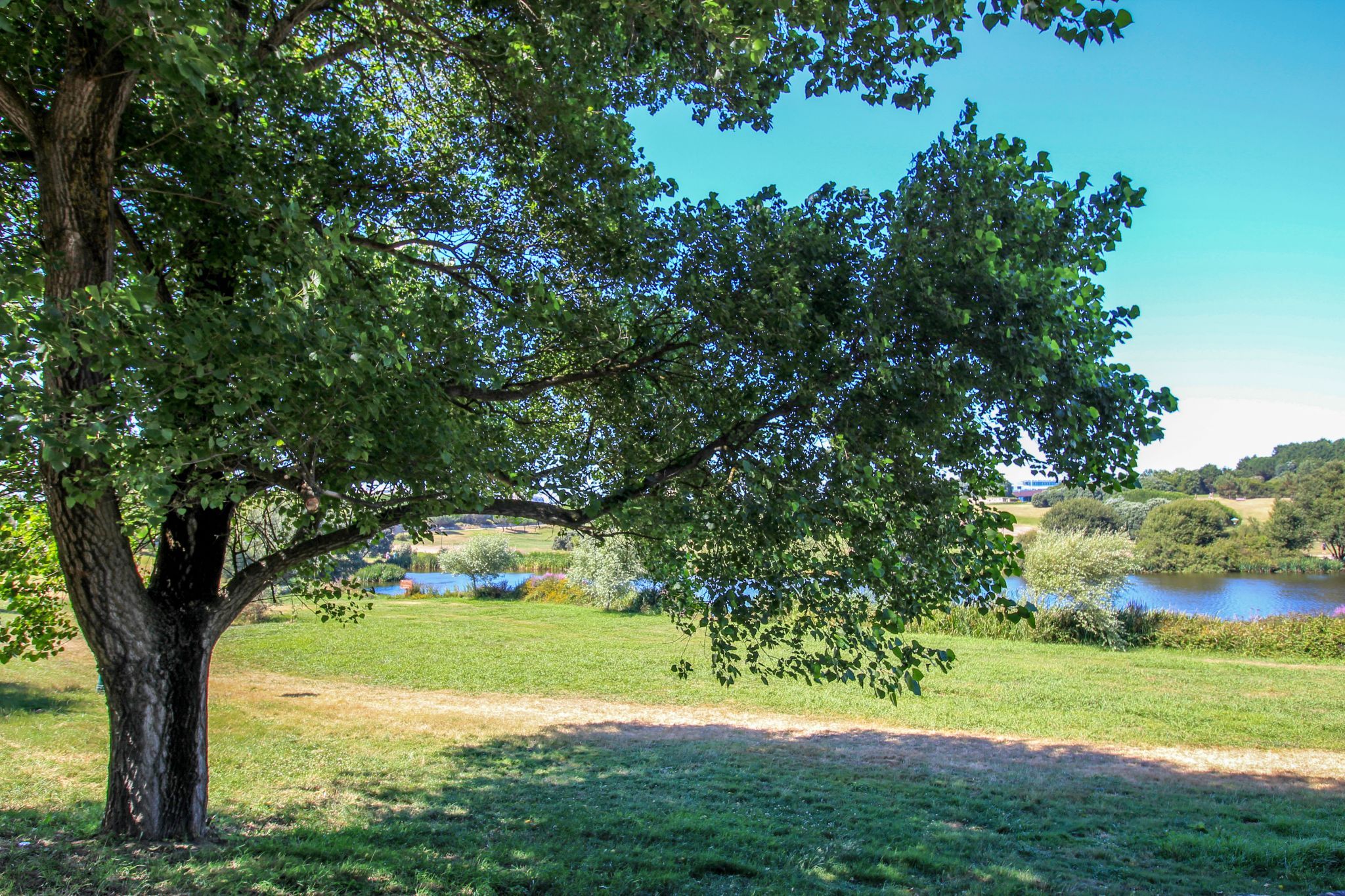 Parque da Cidade, Portugal